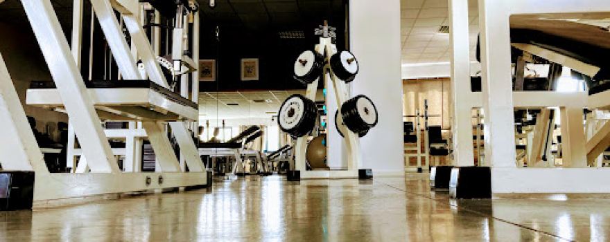 PALESTRA Freelife98