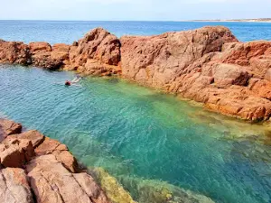 Shell Beach