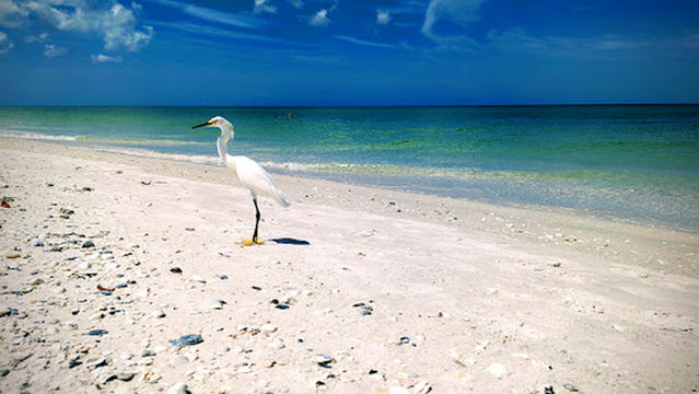 Barefoot Beach Parking