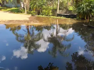 Los Naranjos Arqueológico