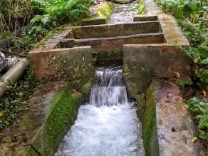 Taman Kehayati Webot