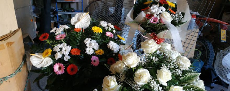 Jardinería Sancho