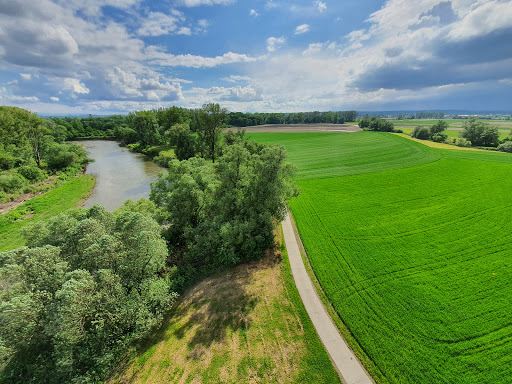 Graniczne Meandry Odry