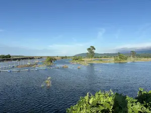 Hatimura Picnic Spot