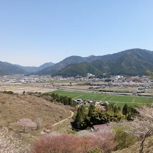 かみかわ 桜の山 桜華園