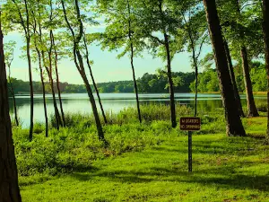 Bringle Lake Park East
