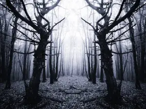 The Abandoned Hayride