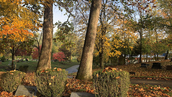 Walnut Grove Cemetery