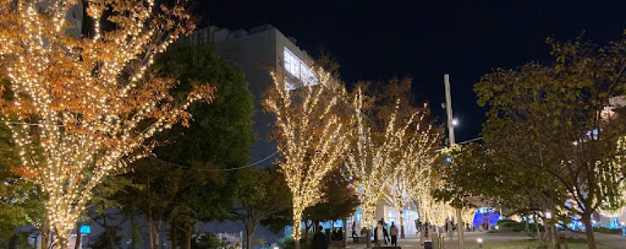 TOHO Cinemas Nagareyama Otaka Forest