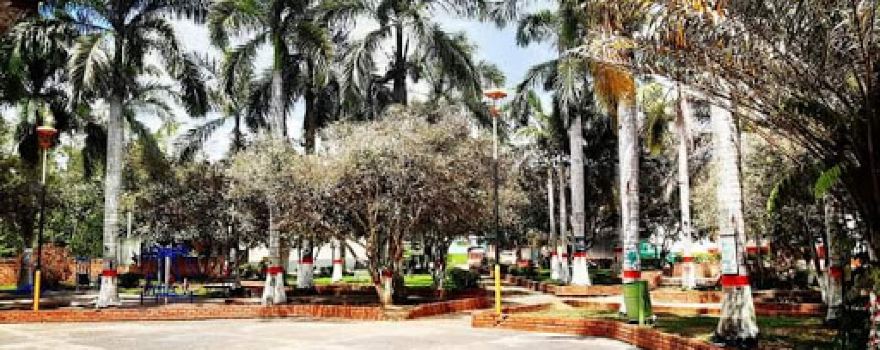 llano de palmas Park