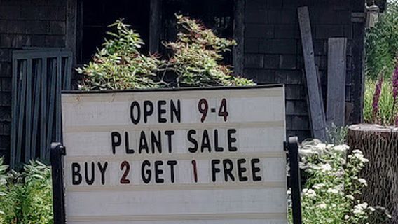 Pat's Greenhouse
