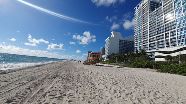 La Playa De Los Pajaros