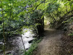 Manitoulin Island