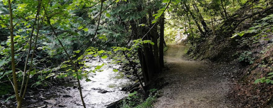 Manitoulin Island