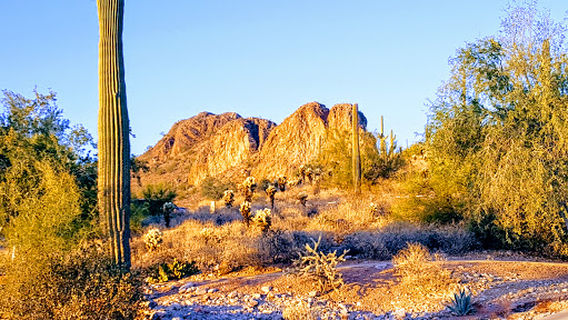 Sidewinder Golf Course at Gold Canyon Golf Resort