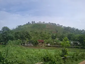 Núi Mơ