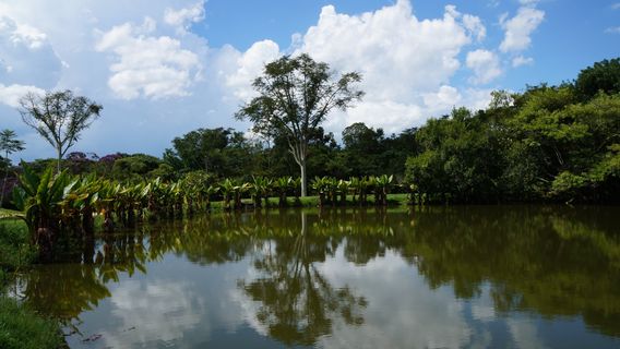 Parque Roberto Burle Marx