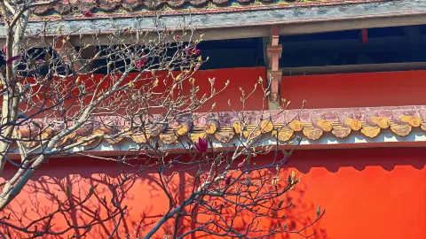Quanzhou Kaiyuan Temple attraction in Quanzhou