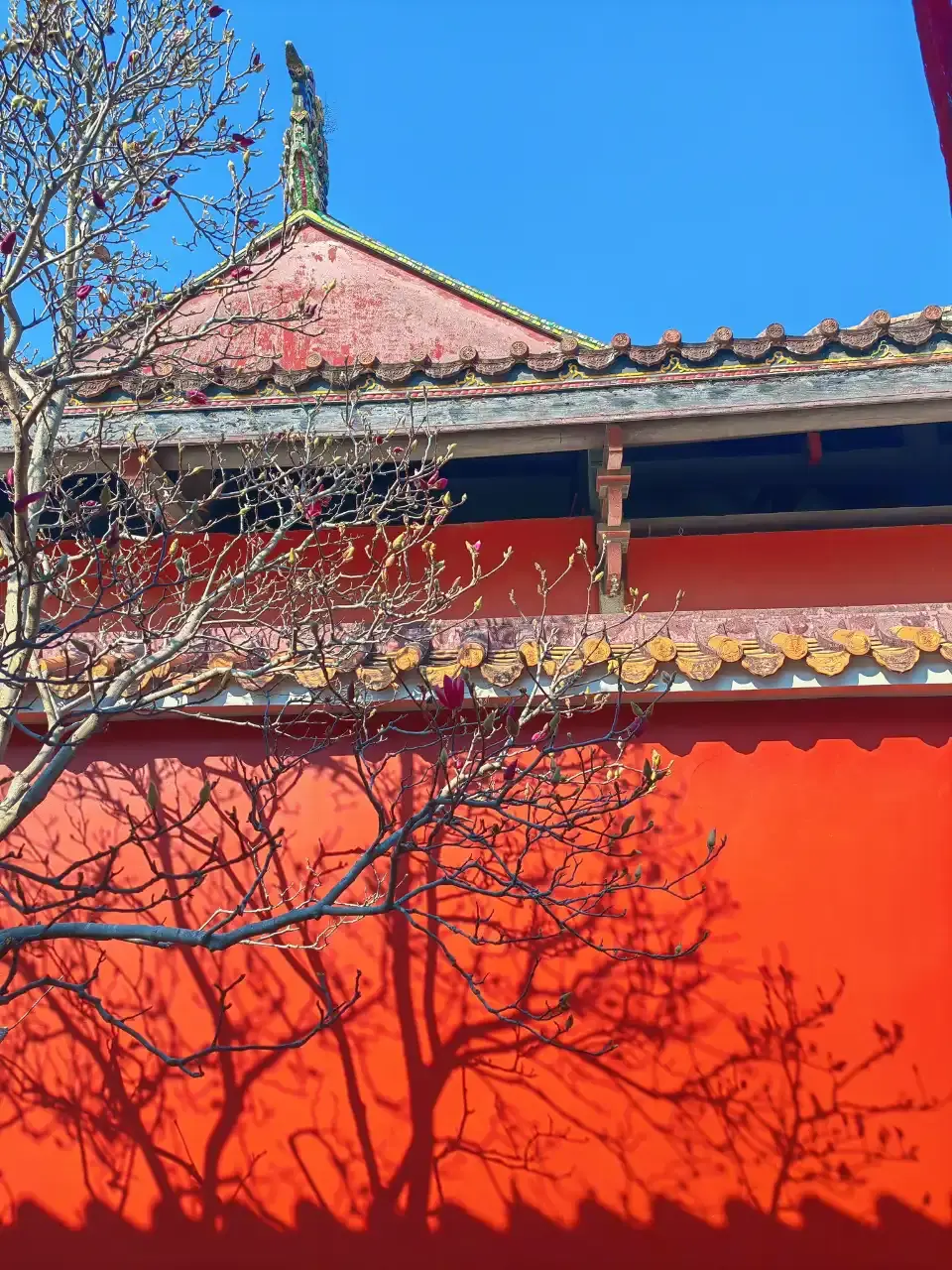 5_Quanzhou Kaiyuan Temple