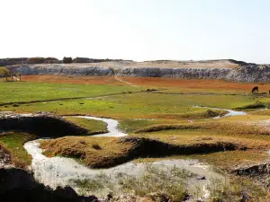 Yengisar National Wetland Park