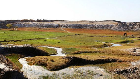 Yengisar National Wetland Park