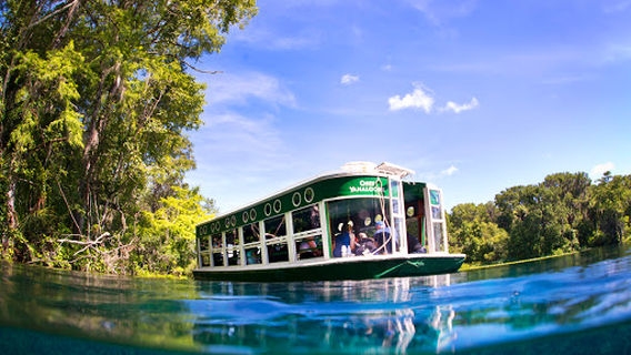 Silver Springs State Park Glass Bottom Boat Tours