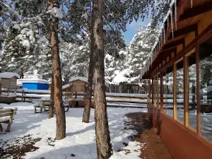 Kastamonu Urban Forest