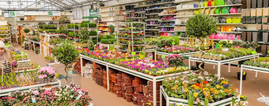 Jucca. garden center