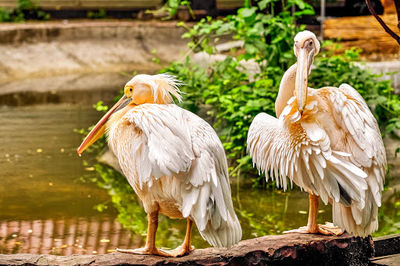 Odessa Zoo