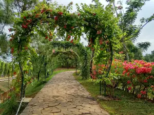 Oasis Djarum Park