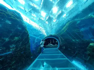 Joetsu Aquarium Umigatari