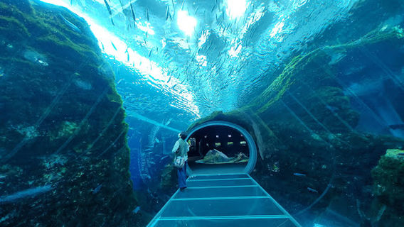 Jōetsu Aquarium Umigatari