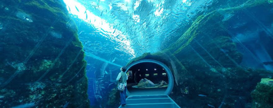 Joetsu Aquarium Umigatari