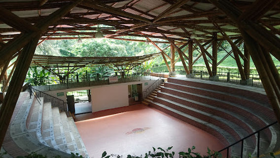 Pereira