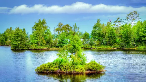 Turtle-Flambeau Flowage