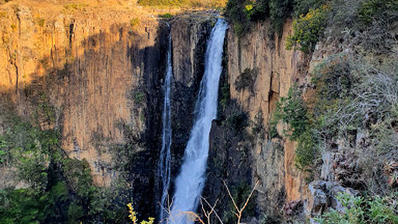 Howick Falls Gorge Walk
