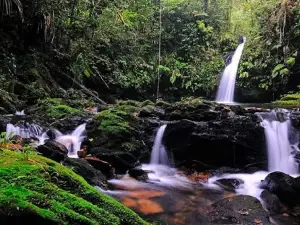 Reserva Ecológica do Sebuí