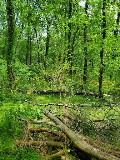 Chapman Mountain Nature Preserve