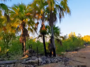 Lawn Hill (Gregory River Base) Resources Reserve