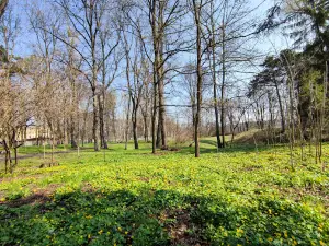 Asmolov Park