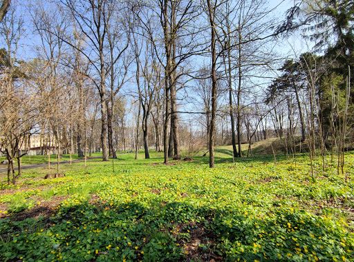 Asmolov Park