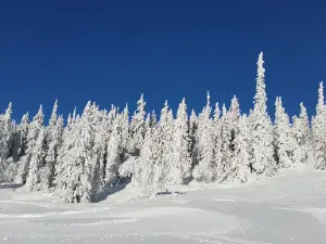 Høgevarde Fjellpark
