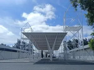 Ovibeja