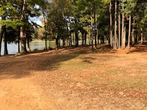 Lake Gilmer