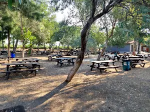 Aliağa Polis Plajı