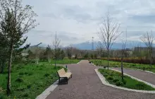 Ботанический Сад