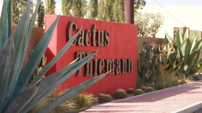 Cactus THIEMANN