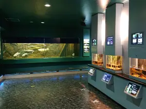 Saitama Aquarium