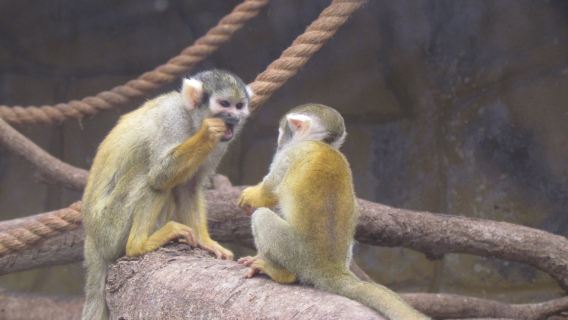 Park of the Legends Zoo