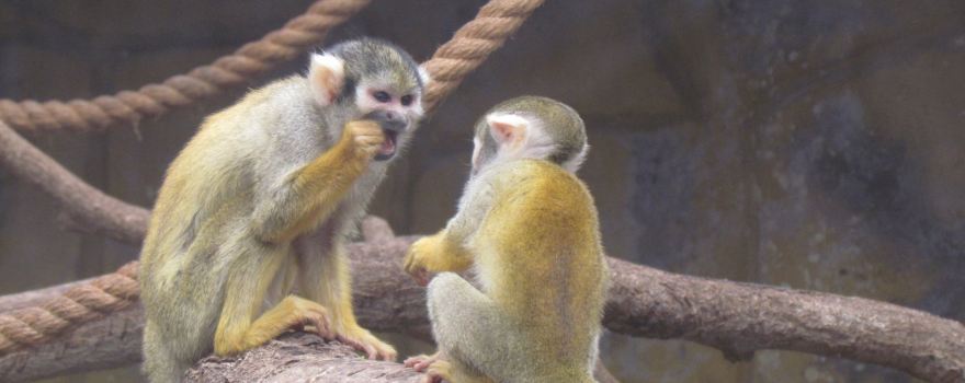 Park of the Legends Zoo